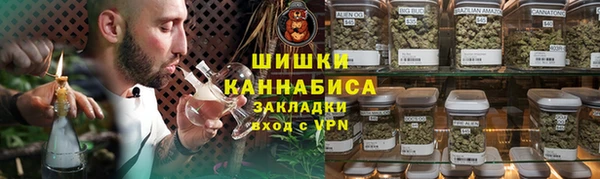 прущие грибы Куйбышев