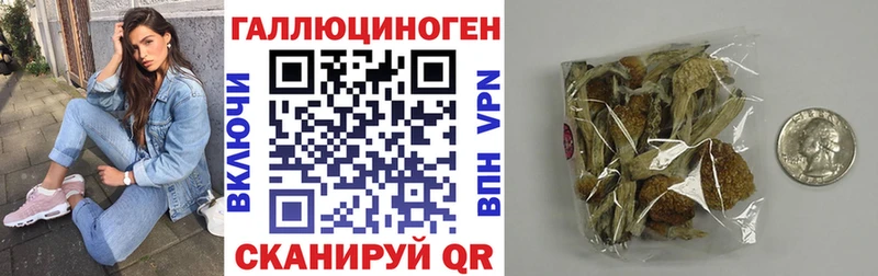 Купить закладки  Большой Камень  Псилоцибиновые грибы Psilocybine cubensis 